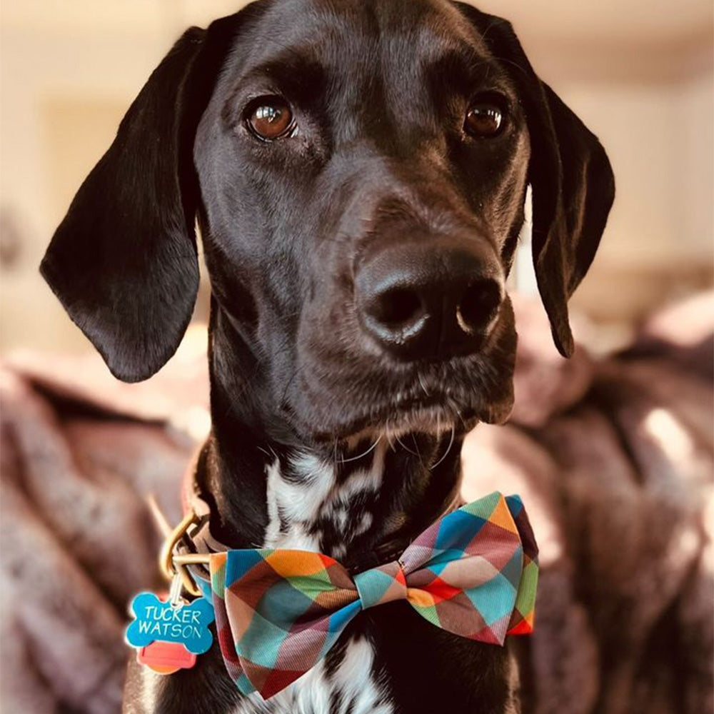 Fall Check Bow Tie