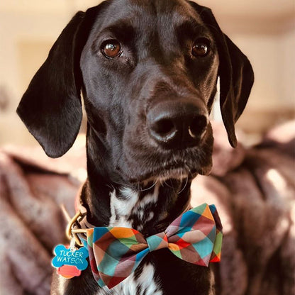 Fall Check Bow Tie