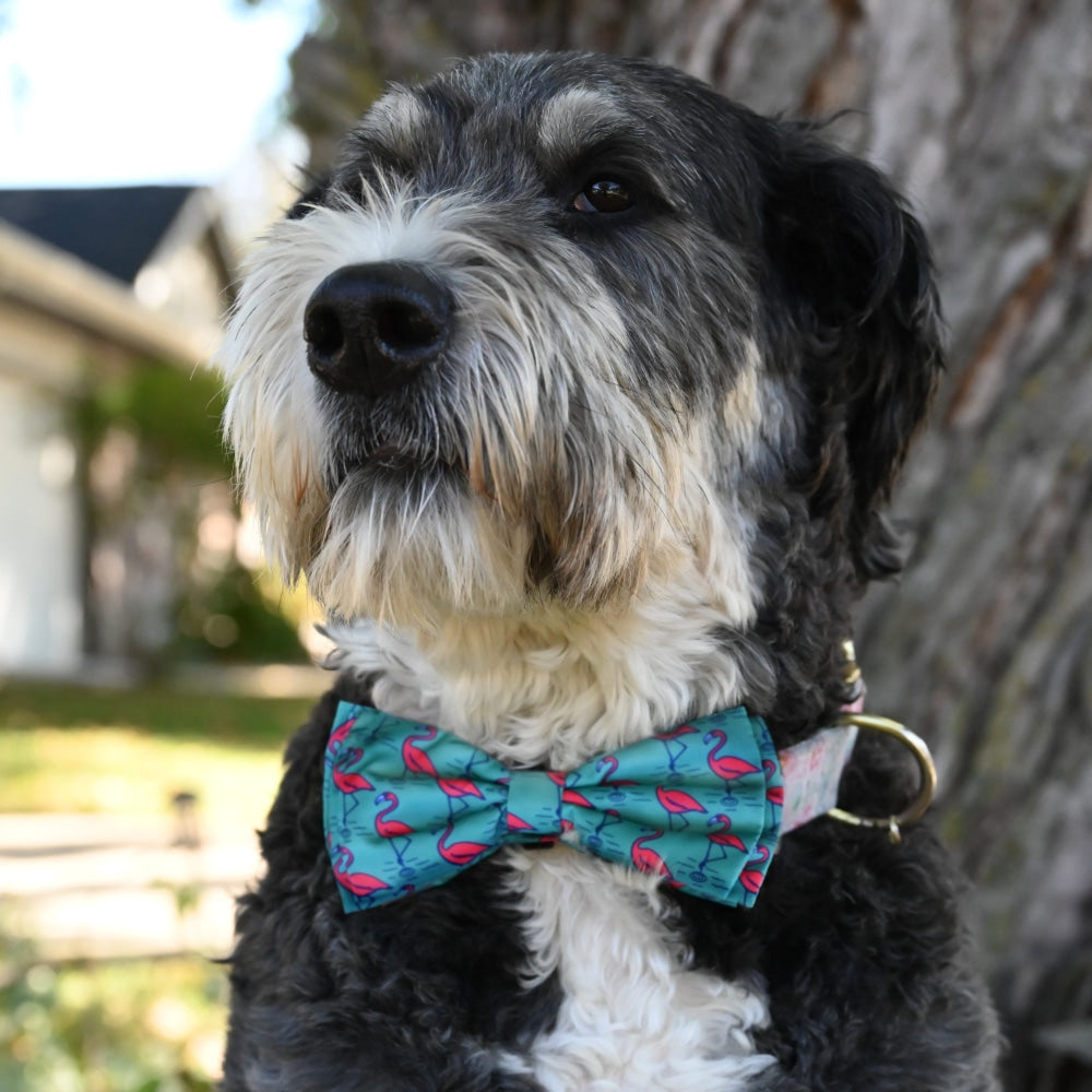 Flamingo Bow Tie