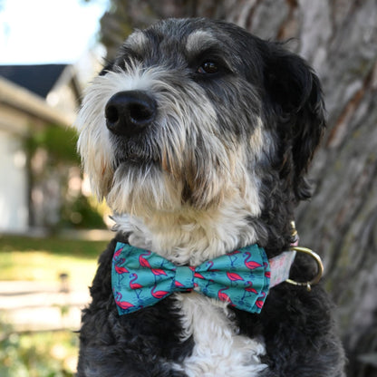 Flamingo Bow Tie