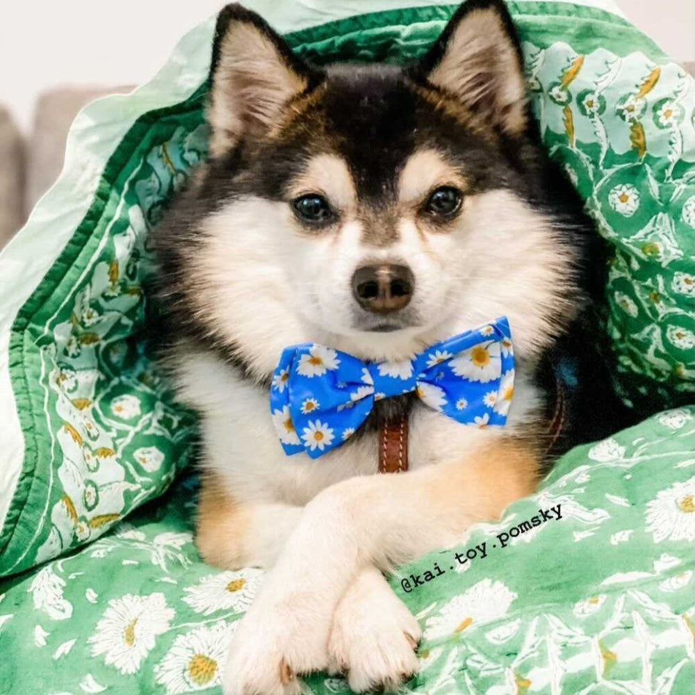 Flower Child Bow Tie