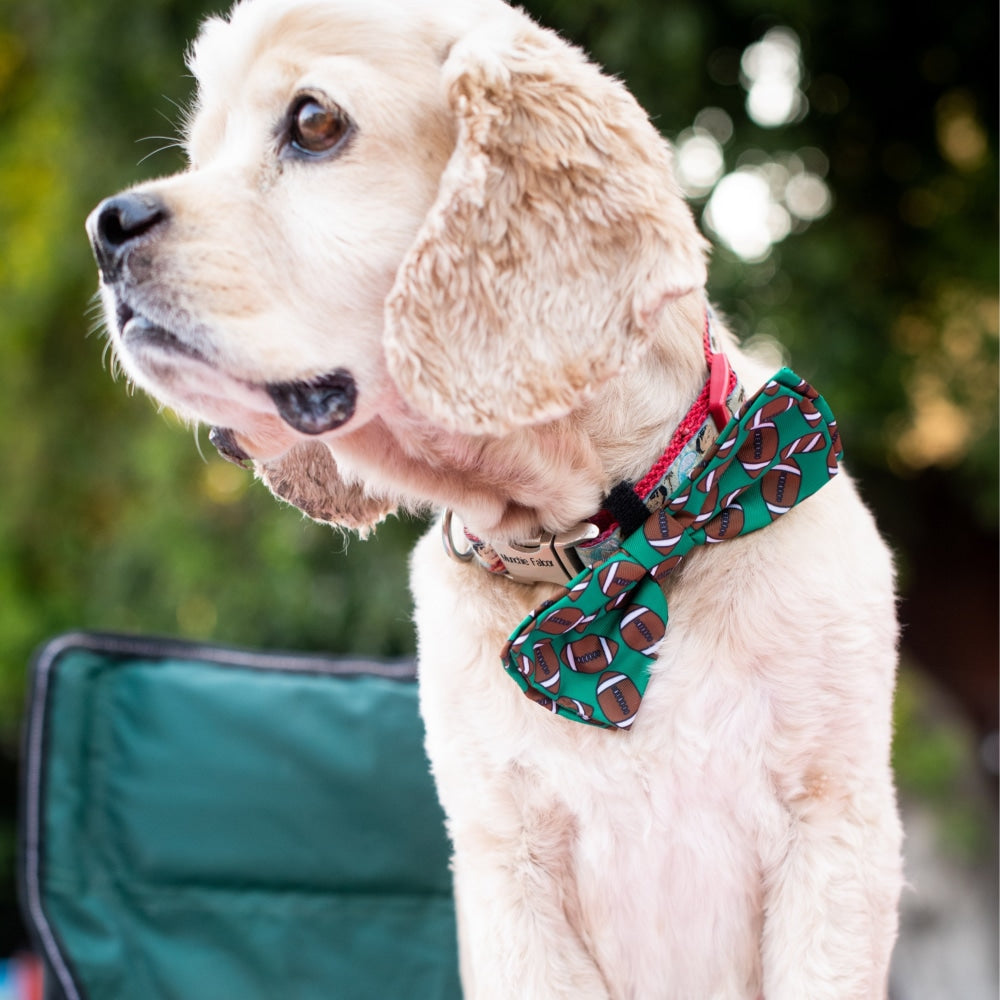 Football Bow Tie