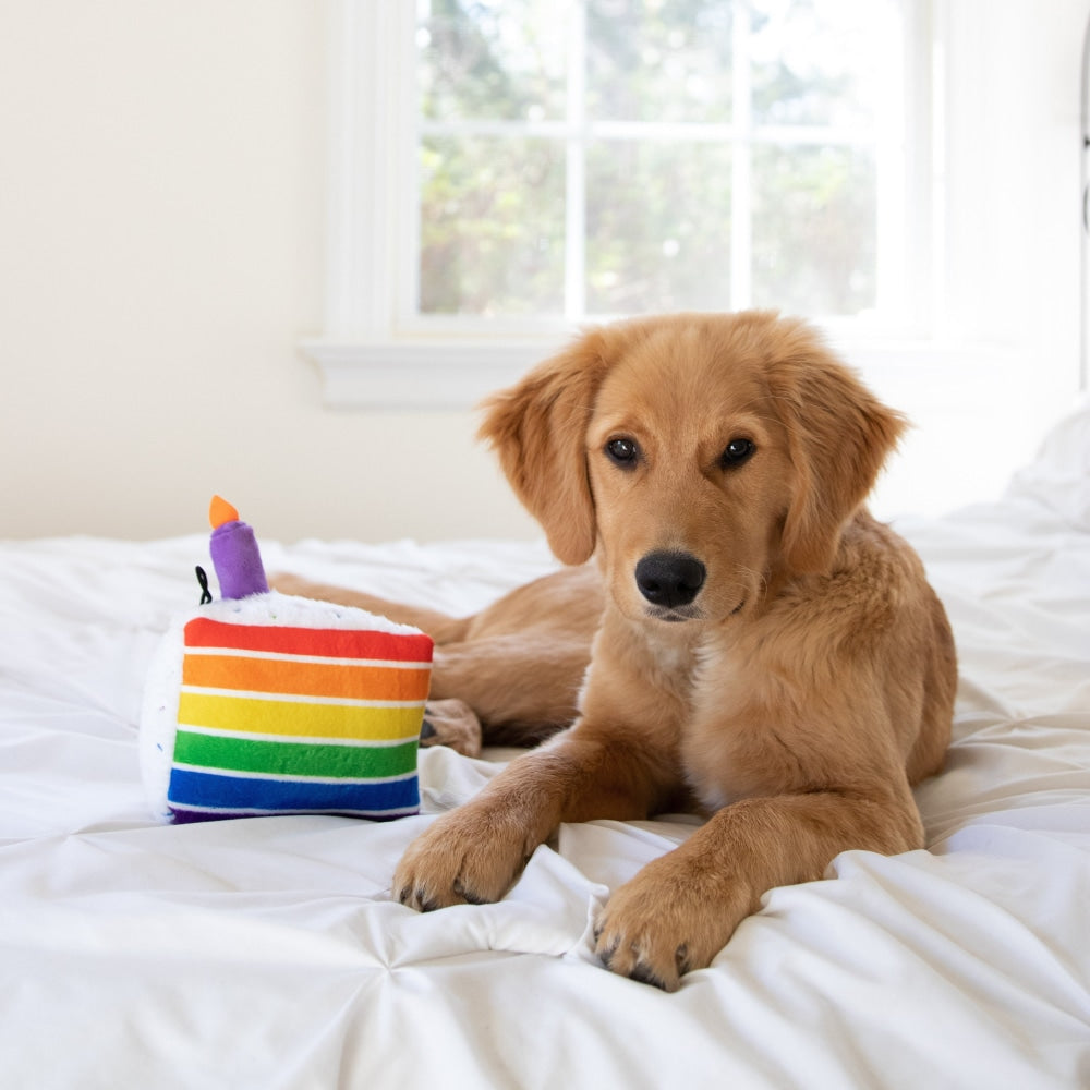 Funfetti Cake Dog Toy