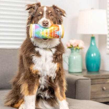 Fuzzy Soft Seltzer Dog Toy - 30% Off