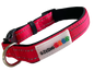 Neoprene Padded Nylon Dog Collar