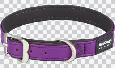Dog Collars - Elegant Range
