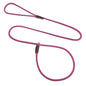 Slip w/Tab Show Leads/Leashes
