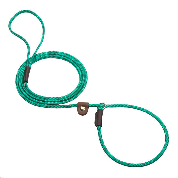 Slip w/Tab Show Leads/Leashes