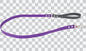 Vivid PVC Dog Lead