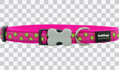 Buckle Bone Dog Collars - Design - Stars