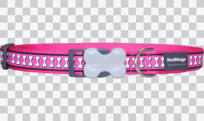 Buckle Bone Dog Collars - Reflective