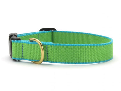 Color Market Dog Collar - Narrow