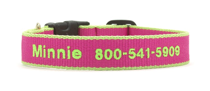 Color Market Dog Collar - Wide