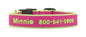 Color Market Dog Collar - Wide