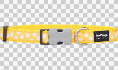 Buckle Bone Dog Collars - Design - Spots