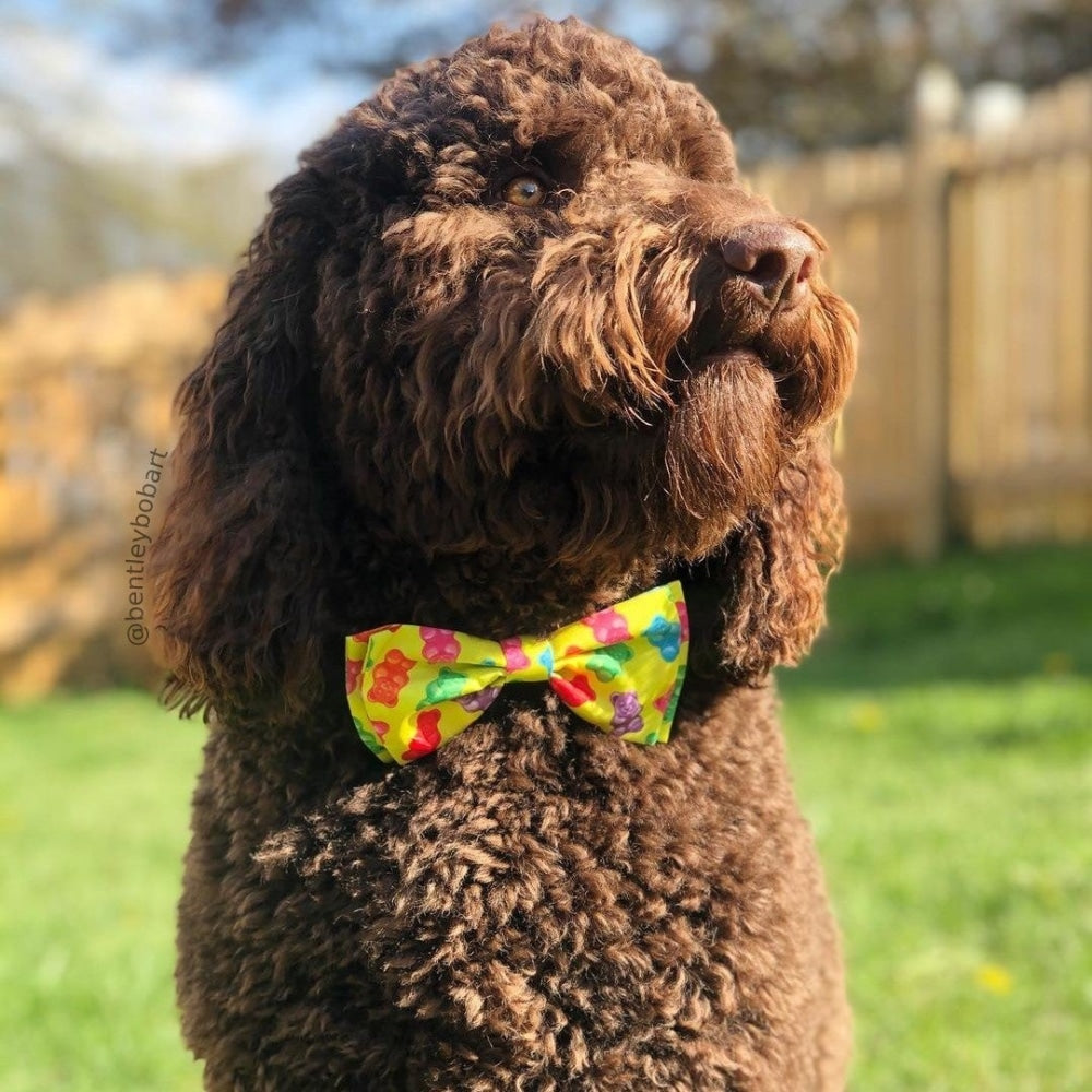 Gummy Bears Bow Tie
