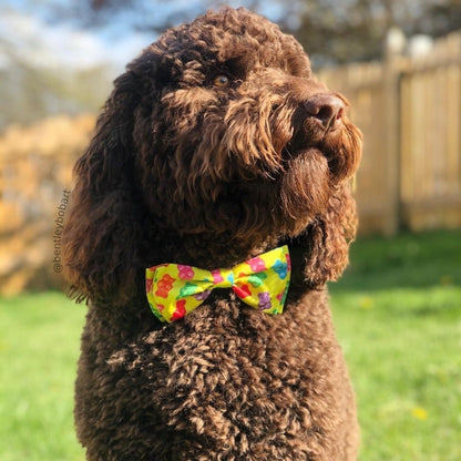 Gummy Bears Bow Tie