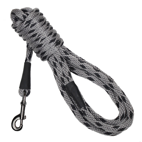 Snap Leashes - Twist Series ("Double Colors")