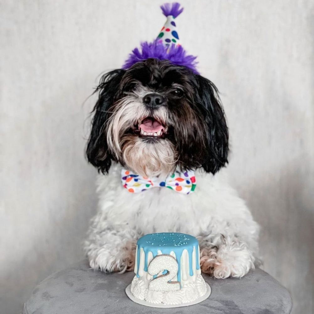 Happy Barkday Bow Tie