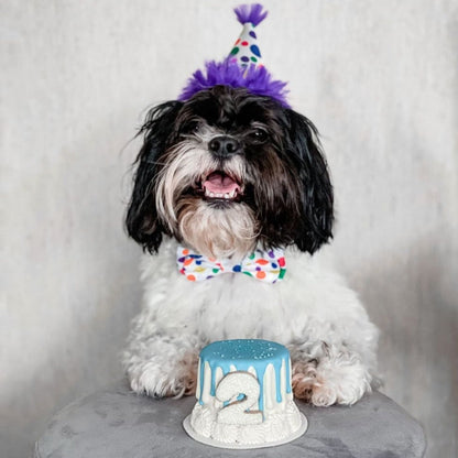 Happy Barkday Bow Tie