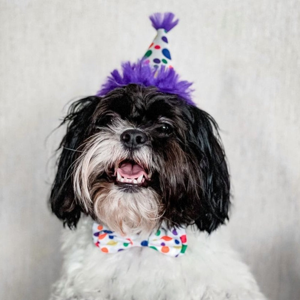 Happy Barkday Bow Tie