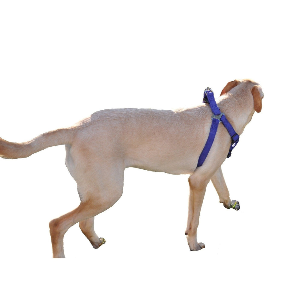 Comfort Microfiber Flat Dog Step-In Harness