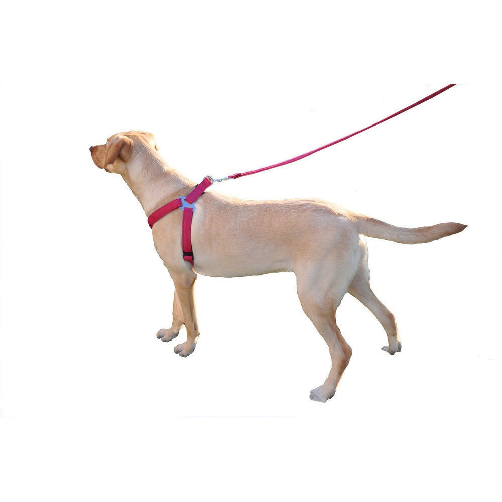 Comfort Microfiber Flat Dog Step-In Harness
