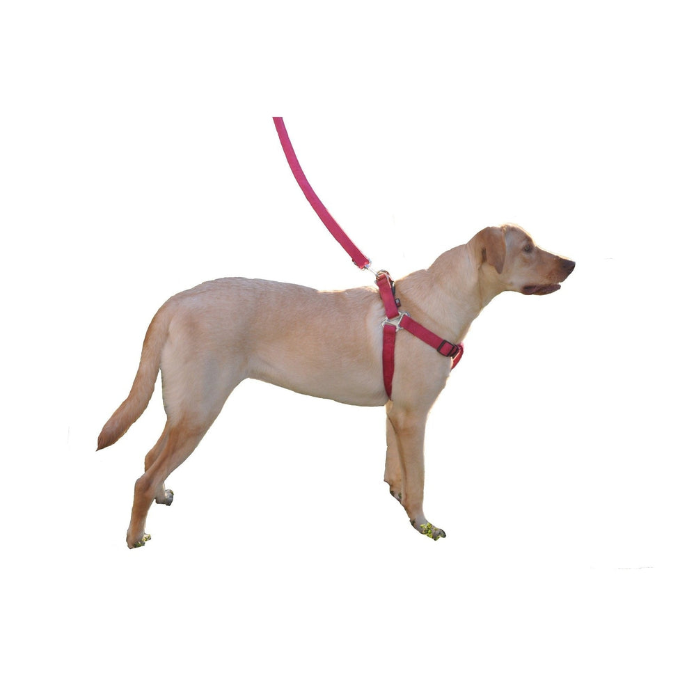 Comfort Microfiber Flat Dog Step-In Harness