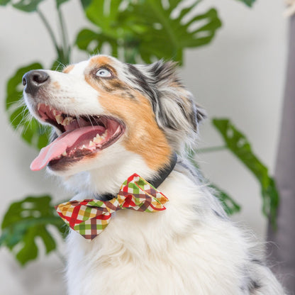 Harvest Check Bow Tie