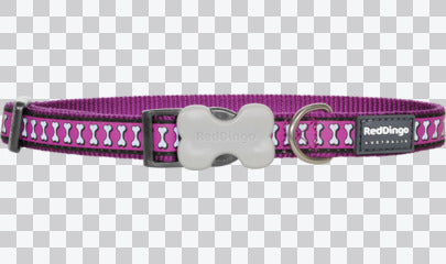 Buckle Bone Dog Collars - Reflective