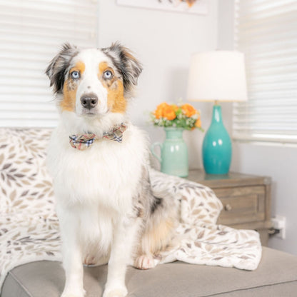 High Street Plaid Bow Tie