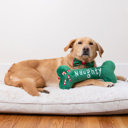 Naughty & Nice Bone Dog Toy (Double Sided)