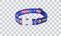 Buckle Bone Dog Collars - Design - US Flag