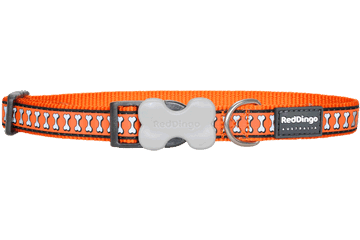 Buckle Bone Dog Collars - Reflective