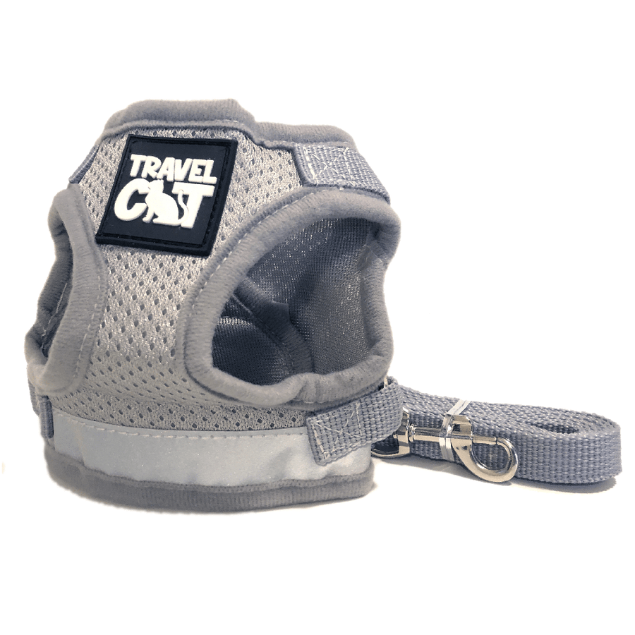 "The True Adventurer" Harness & Leash