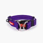 DOUBLE-UP COLLAR