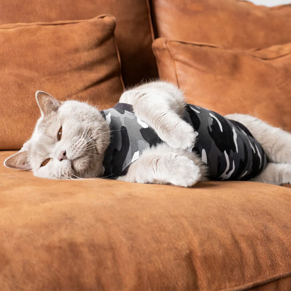 Recovery Suit Cat