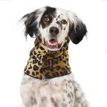 Snood