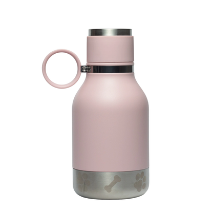 Pink stainless steel water bottle with a silver base and a pink ring handle