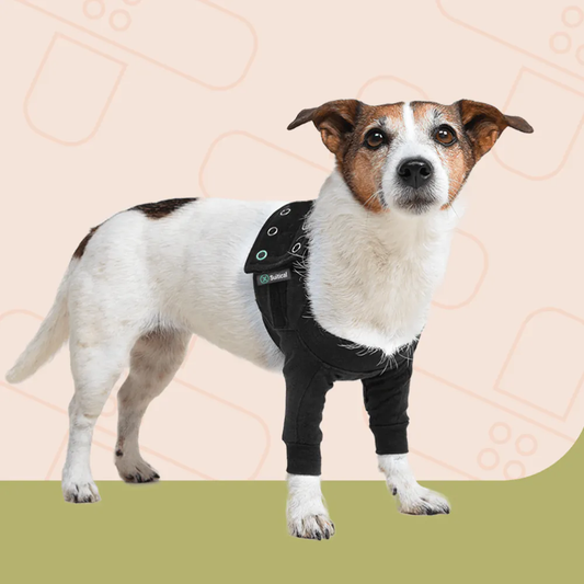 Recovery Front Leg Double Sleeve Dog
