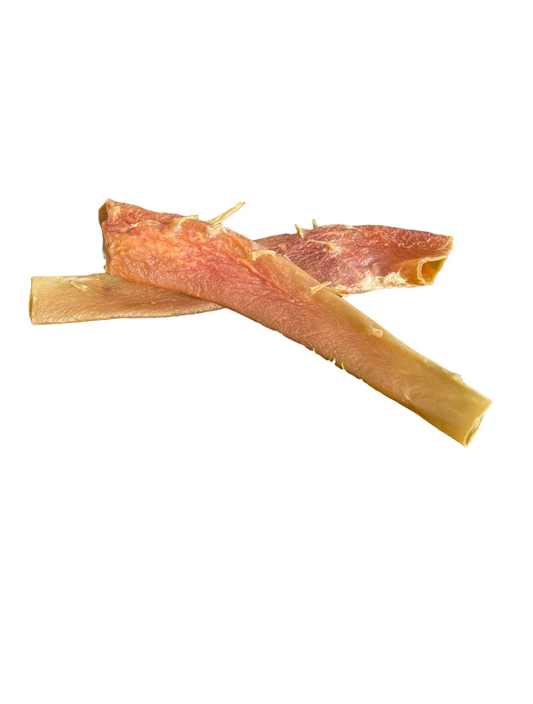 Dehydrated Beef Aorta- 24 piece Bulk