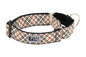 All Webbing Training Collar