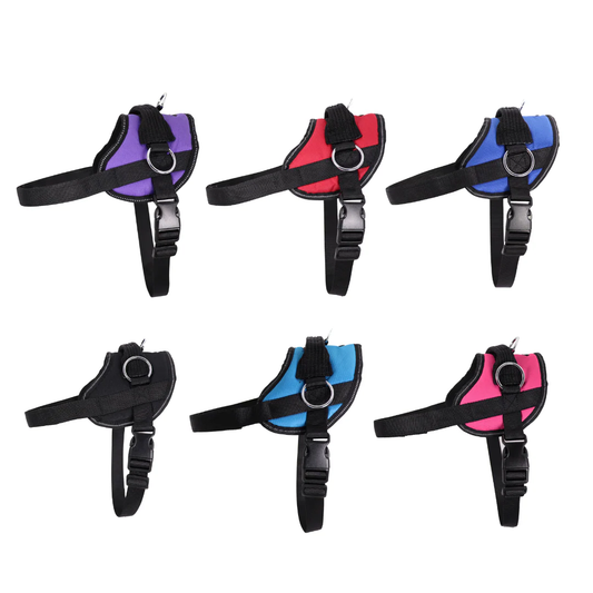 Harness - Reflective No Pull Harness - Solid