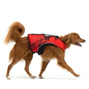Dog Flotation Device X2 BOOST (DFD X2 BOOST)