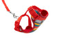 Adventure Kitty Harness