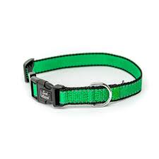 Starter Packages- Reflective Trimmed Nylon/Poly Collar