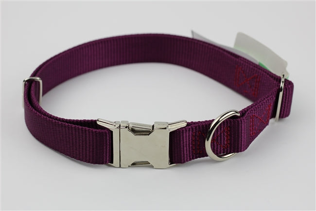 Steel Dog Collar
