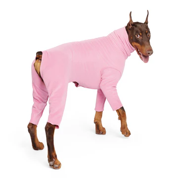 Signature Suit - Rose
