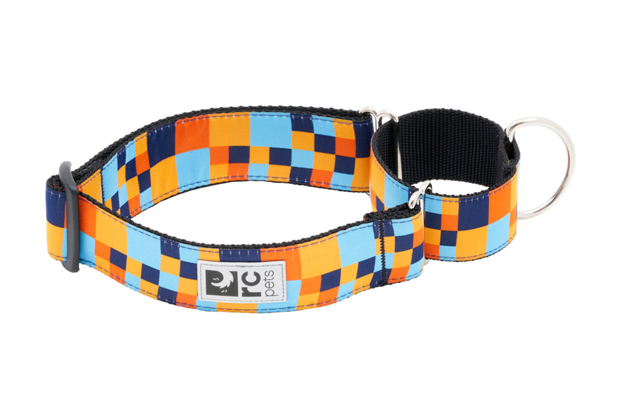 All Webbing Training Collar