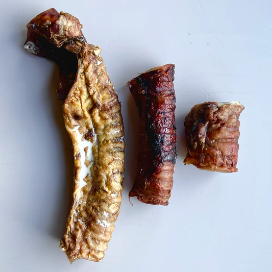 Beef Trachea